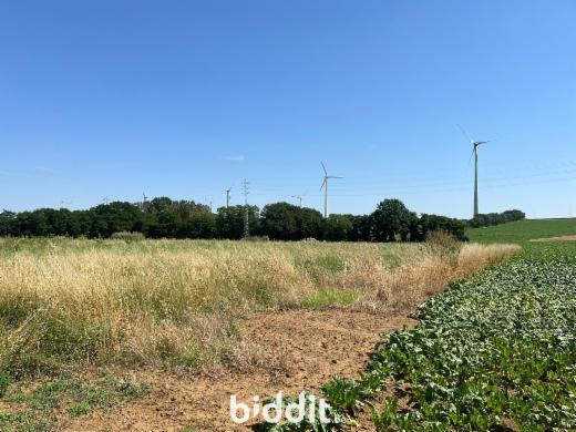 Derde alternatieve foto van het pand