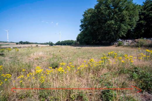 Derde alternatieve foto van het pand