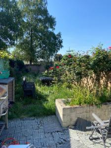 Presentatiebeeld van het pand n° 290034