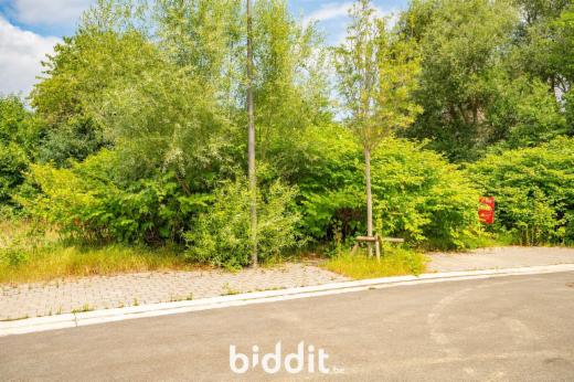 Derde alternatieve foto van het pand