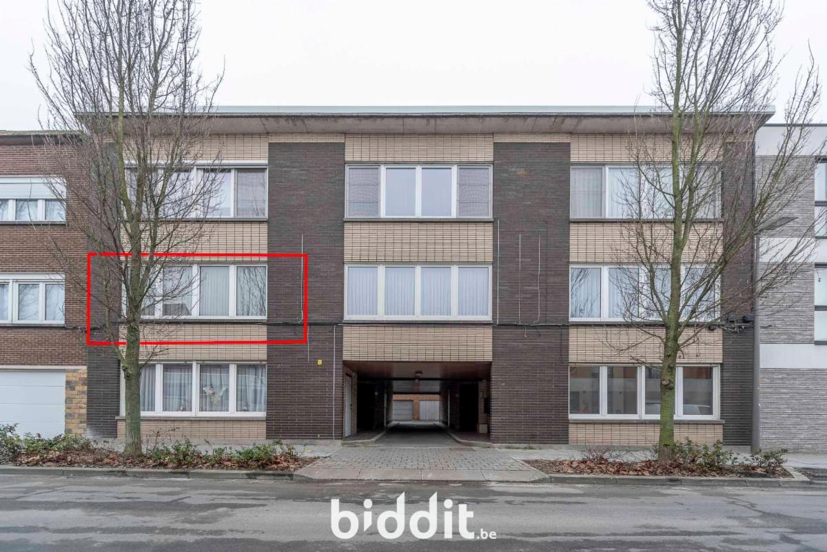 Presentatiebeeld van het pand n° 295355