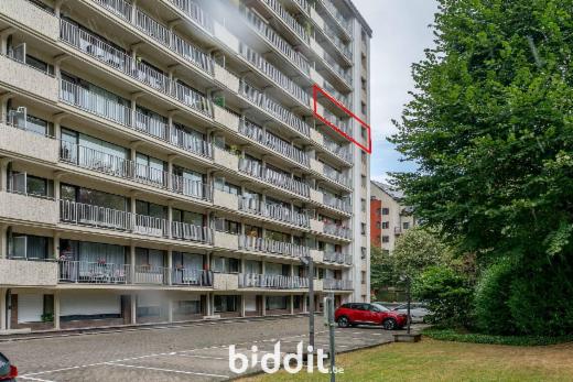 Presentatiebeeld van het pand n° 300385