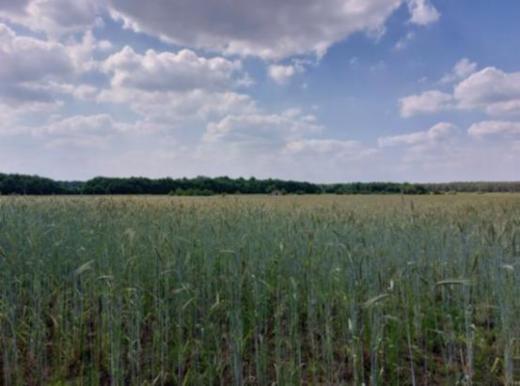 Eerste alternatieve foto van het pand