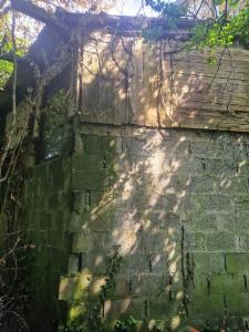 Tweede alternatieve foto van het pand