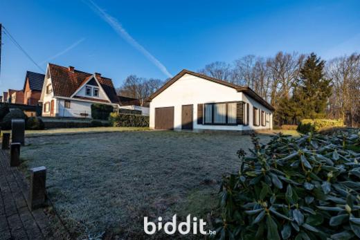 Tweede alternatieve foto van het pand