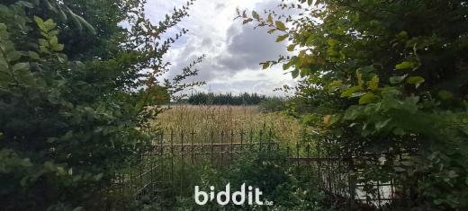 Derde alternatieve foto van het pand