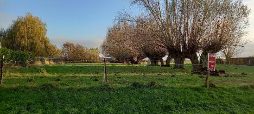 Eerste alternatieve foto van het pand