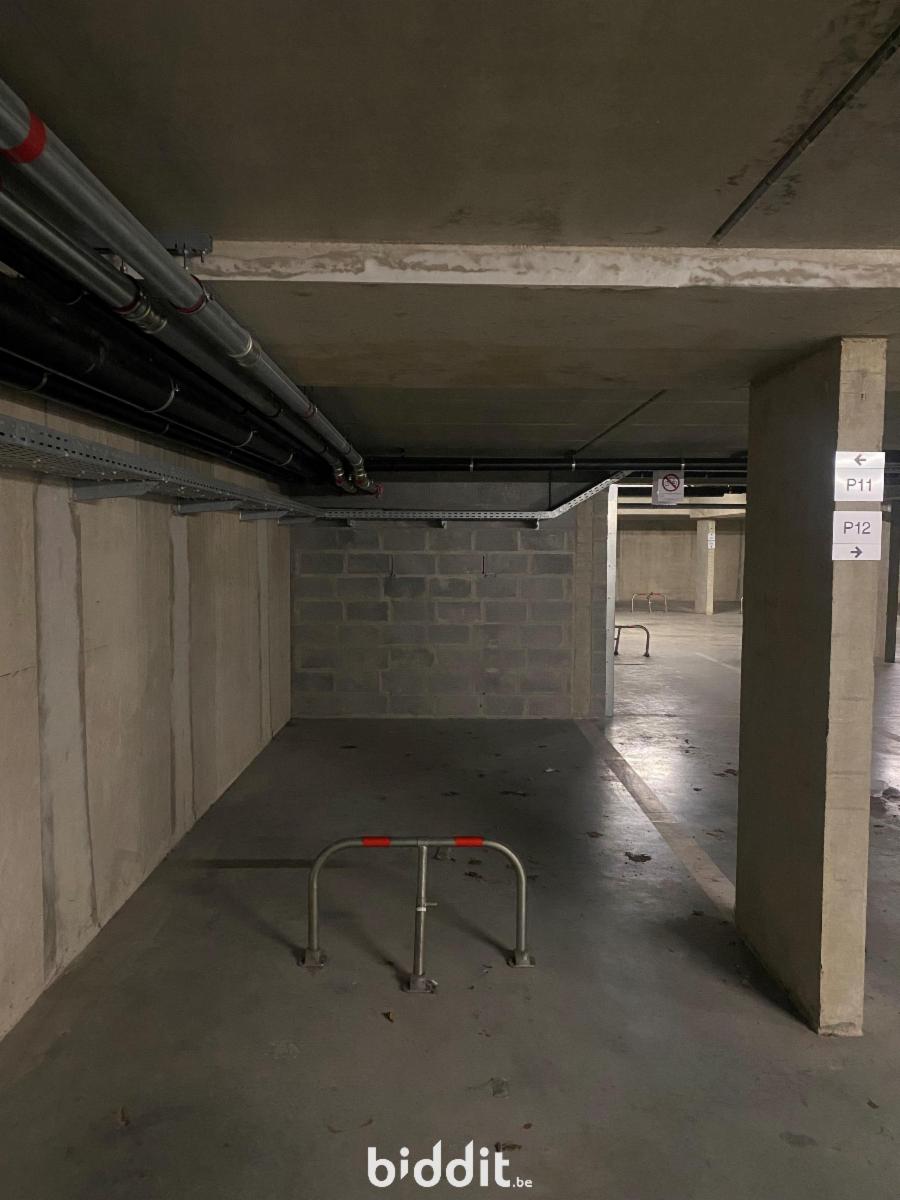 Presentatiebeeld van het pand n° 294121