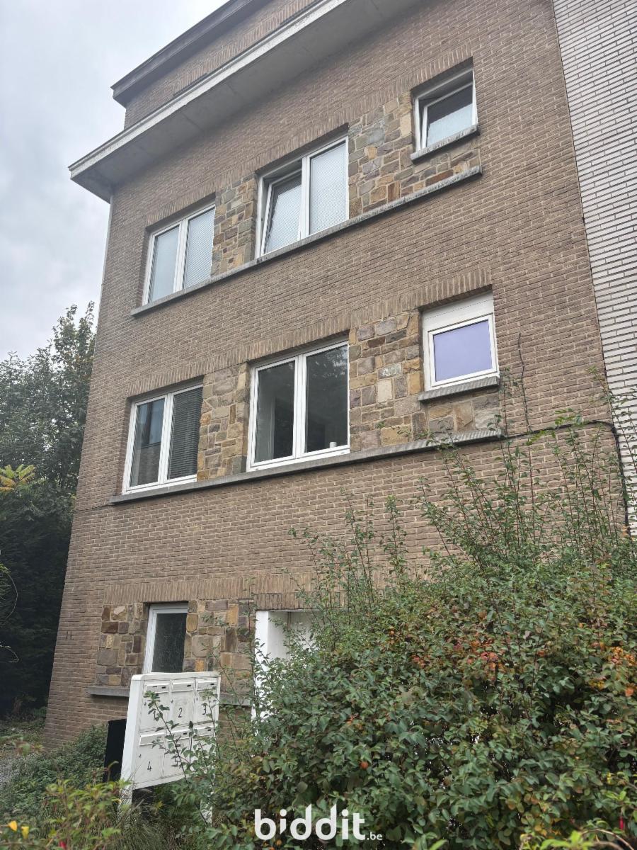 Presentatiebeeld van het pand n° 292358