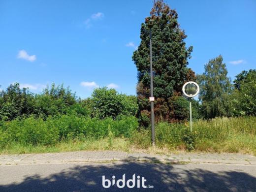 Eerste alternatieve foto van het pand