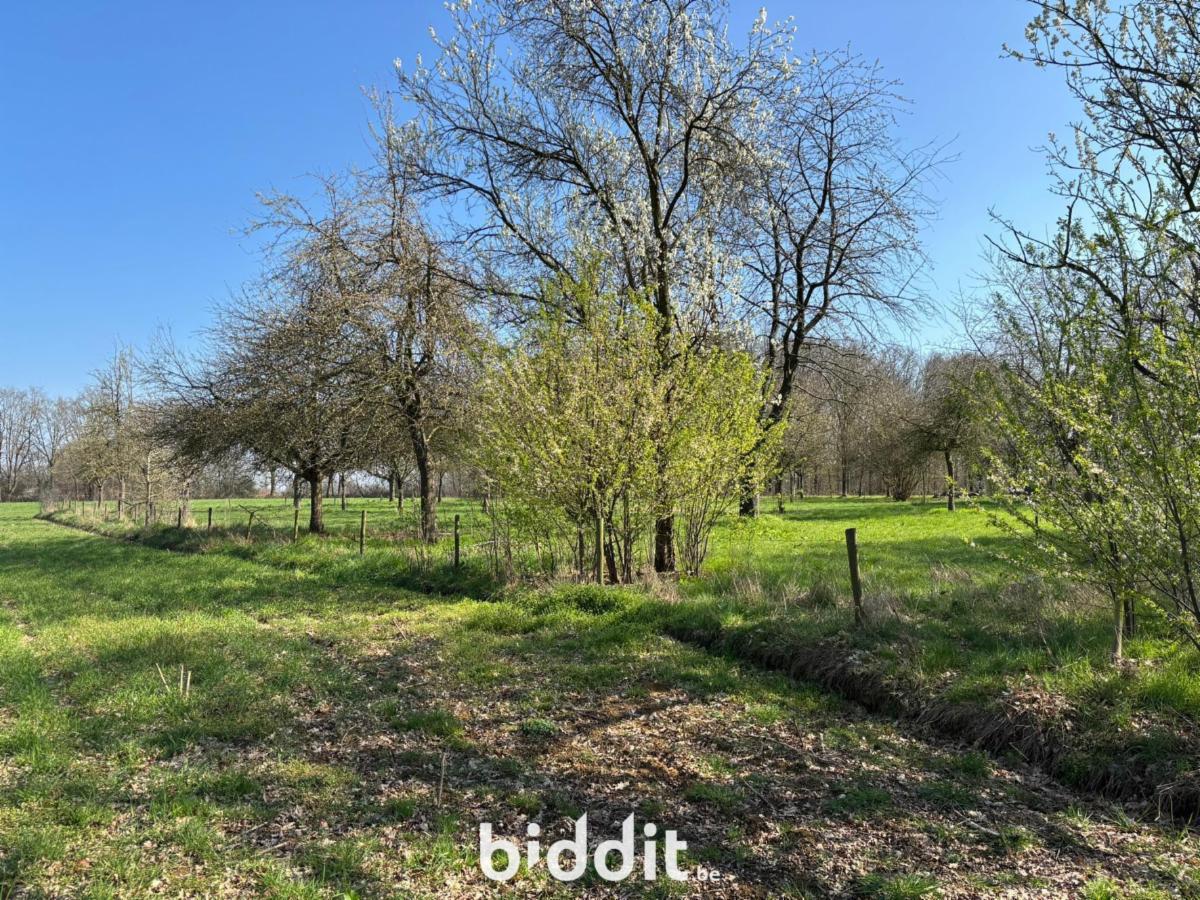 Presentatiebeeld van het pand n° 294912