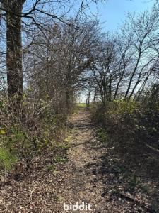 Eerste alternatieve foto van het pand