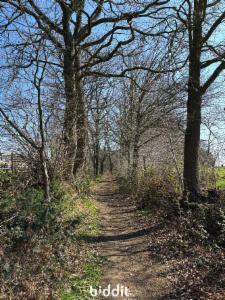 Tweede alternatieve foto van het pand