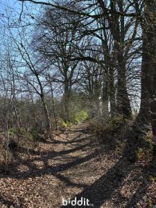 Derde alternatieve foto van het pand