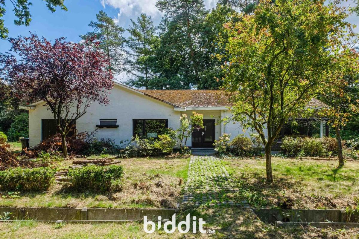 Presentatiebeeld van het pand n° 291146