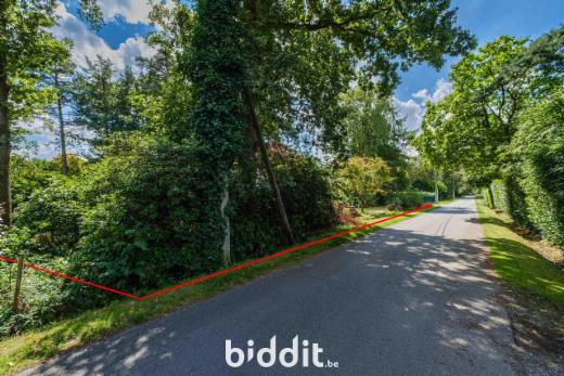 Tweede alternatieve foto van het pand