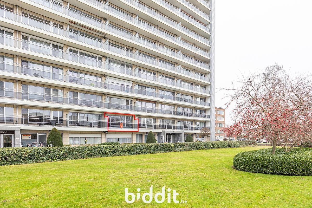 Presentatiebeeld van het pand n° 294927