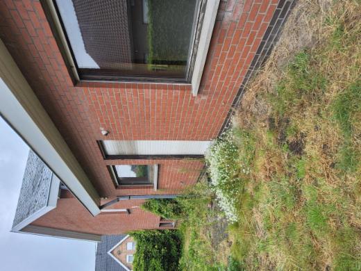 Derde alternatieve foto van het pand