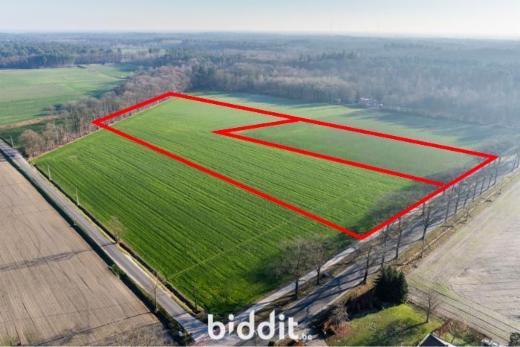 Eerste alternatieve foto van het pand