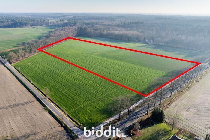 Presentatiebeeld van het pand n° 291269