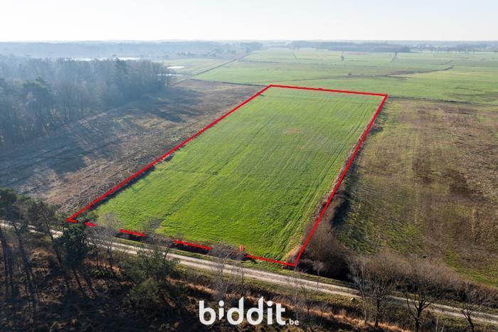 Presentatiebeeld van het pand n° 291271