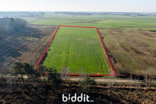 Eerste alternatieve foto van het pand