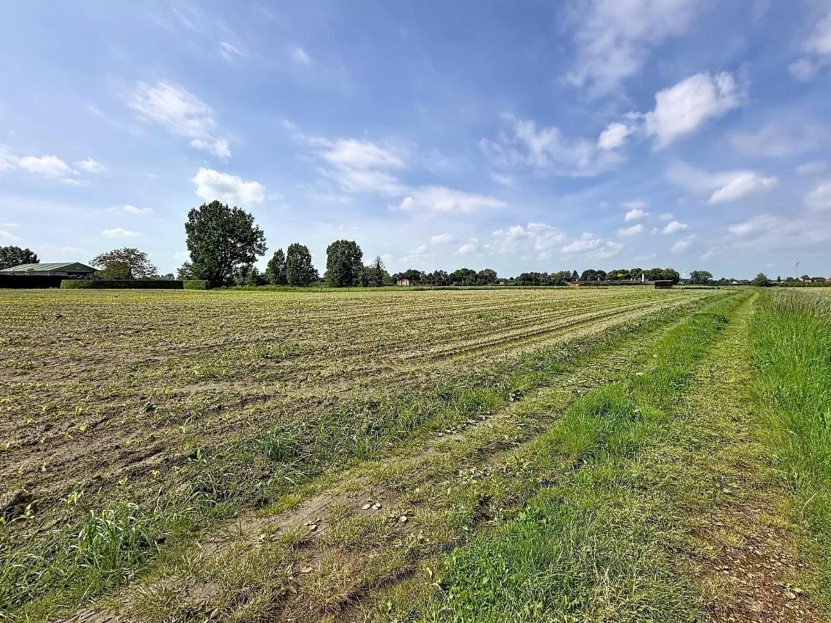 Presentatiebeeld van het pand n° 297043