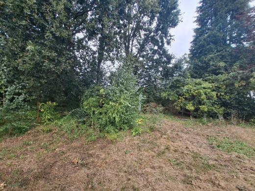 Derde alternatieve foto van het pand