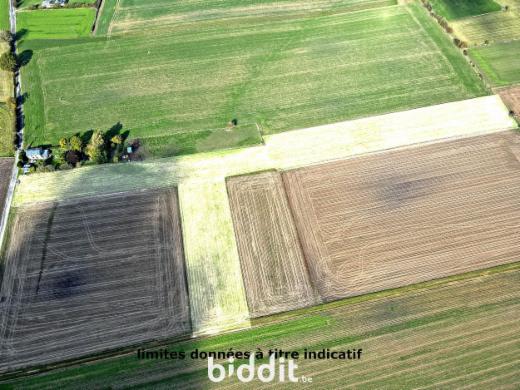 Eerste alternatieve foto van het pand