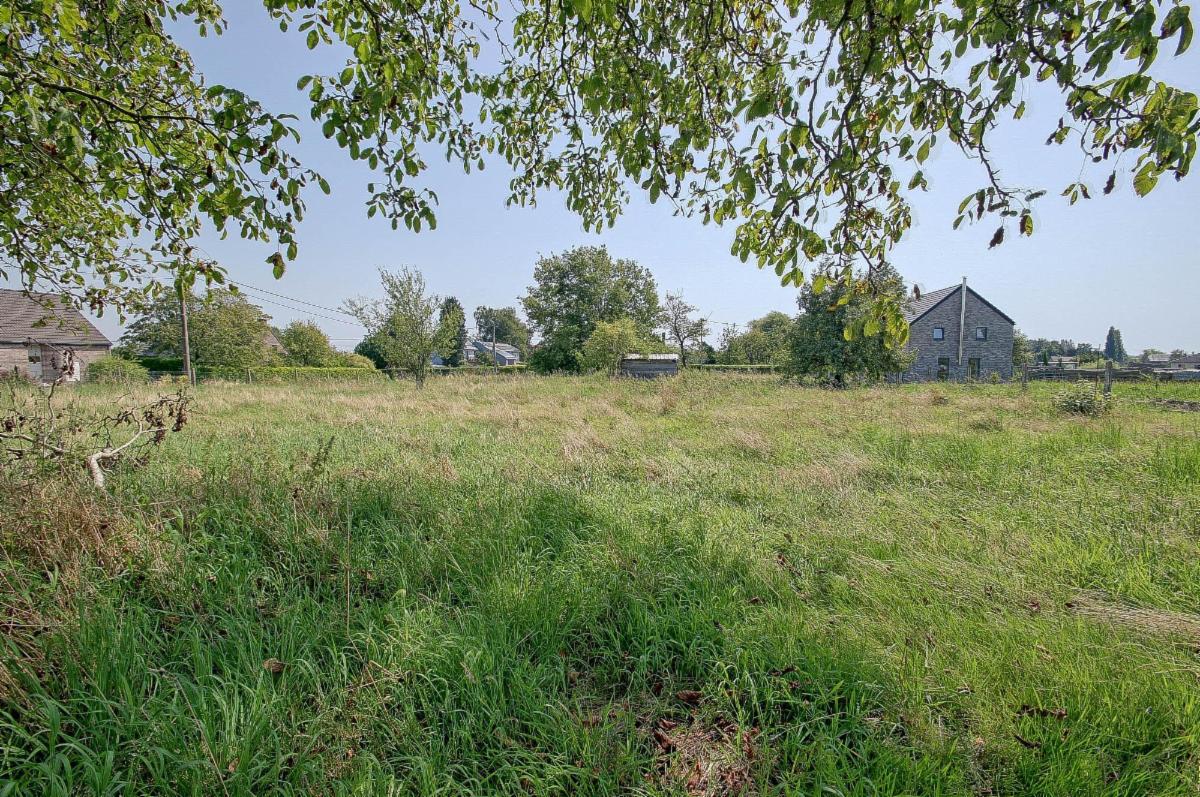 Presentatiebeeld van het pand n° 294834