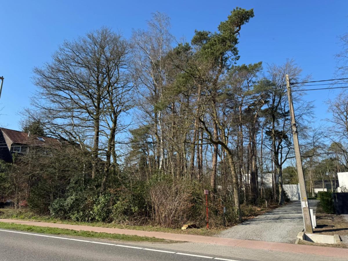 Presentatiebeeld van het pand n° 294324