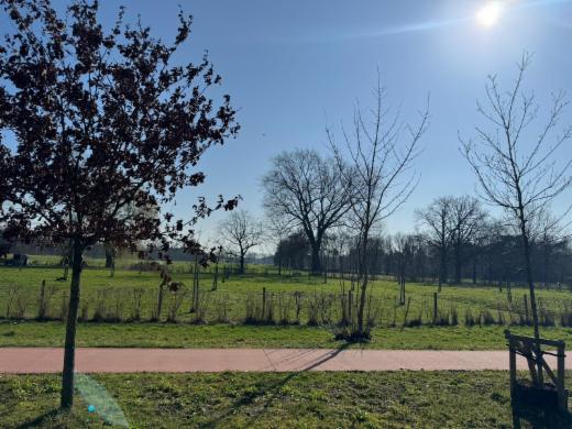 Tweede alternatieve foto van het pand