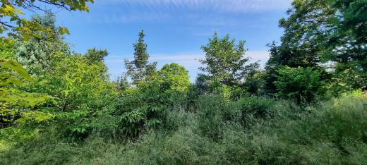 Derde alternatieve foto van het pand