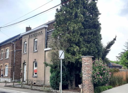 Presentatiebeeld van het pand n° 285480