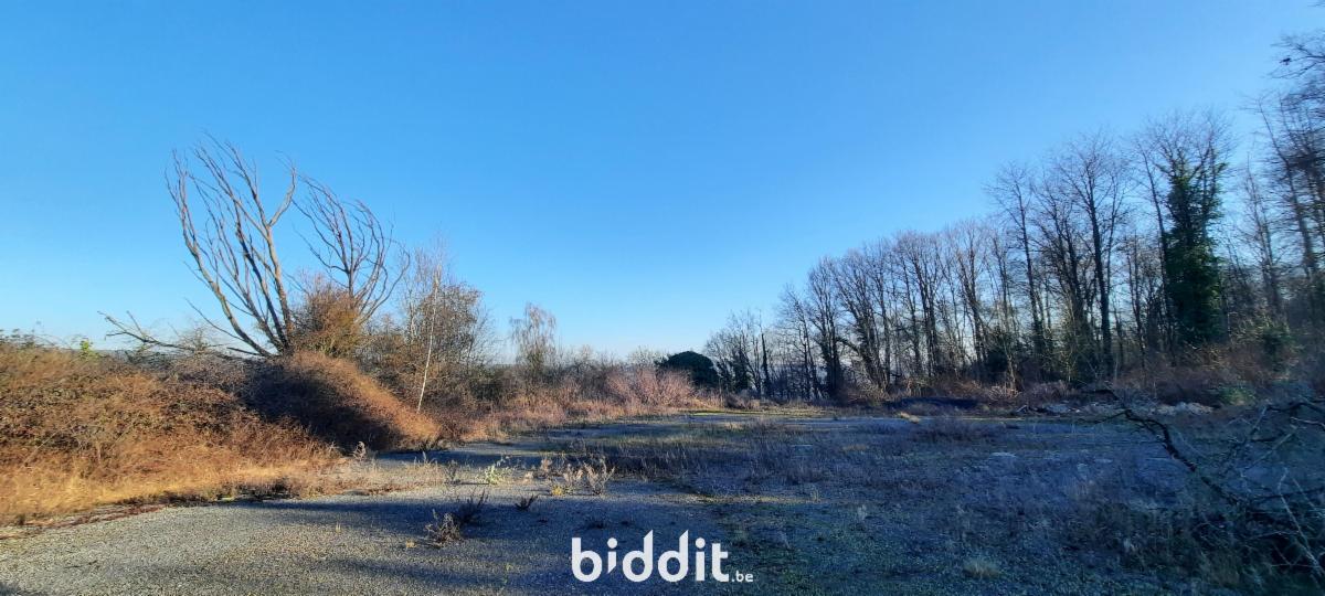 Presentatiebeeld van het pand n° 293147