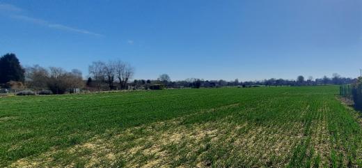 Tweede alternatieve foto van het pand