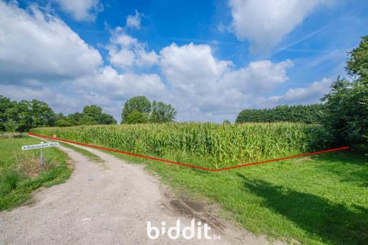 Tweede alternatieve foto van het pand