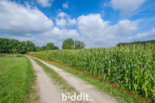 Derde alternatieve foto van het pand