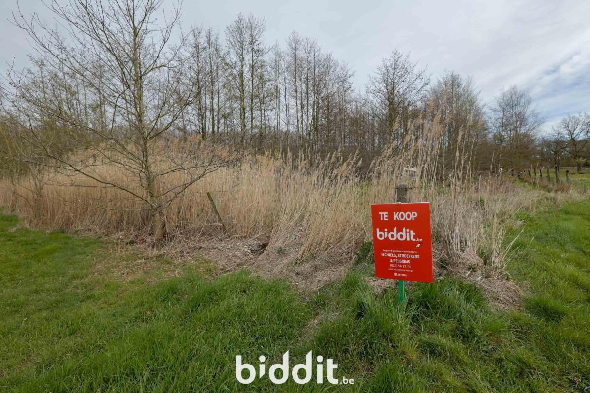 Presentatiebeeld van het pand n° 295227