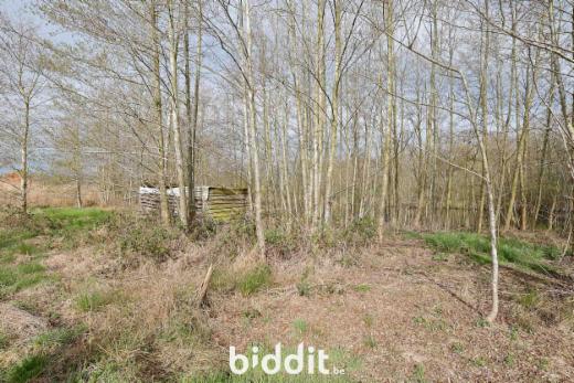 Tweede alternatieve foto van het pand