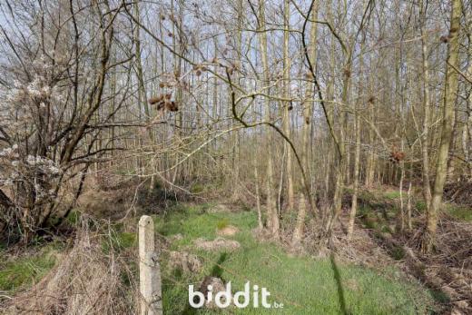 Derde alternatieve foto van het pand