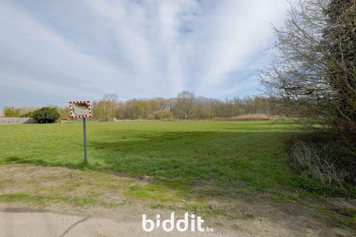 Presentatiebeeld van het pand n° 295228