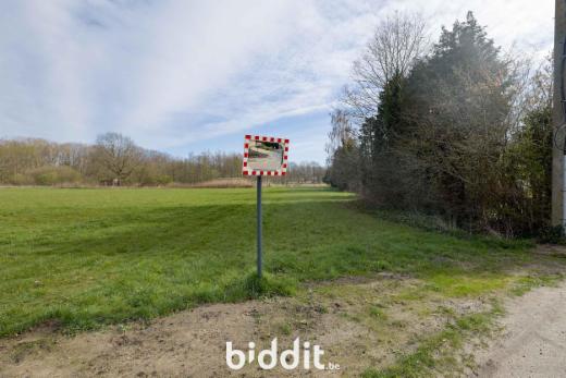 Eerste alternatieve foto van het pand