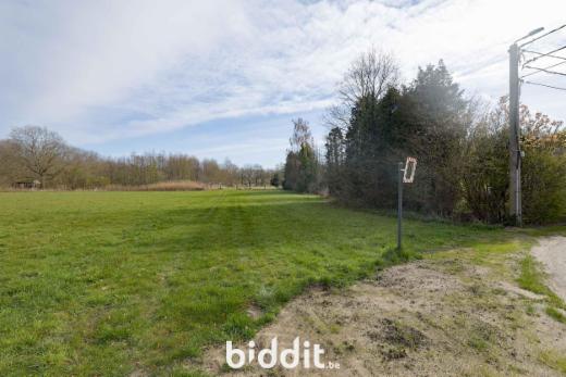 Tweede alternatieve foto van het pand