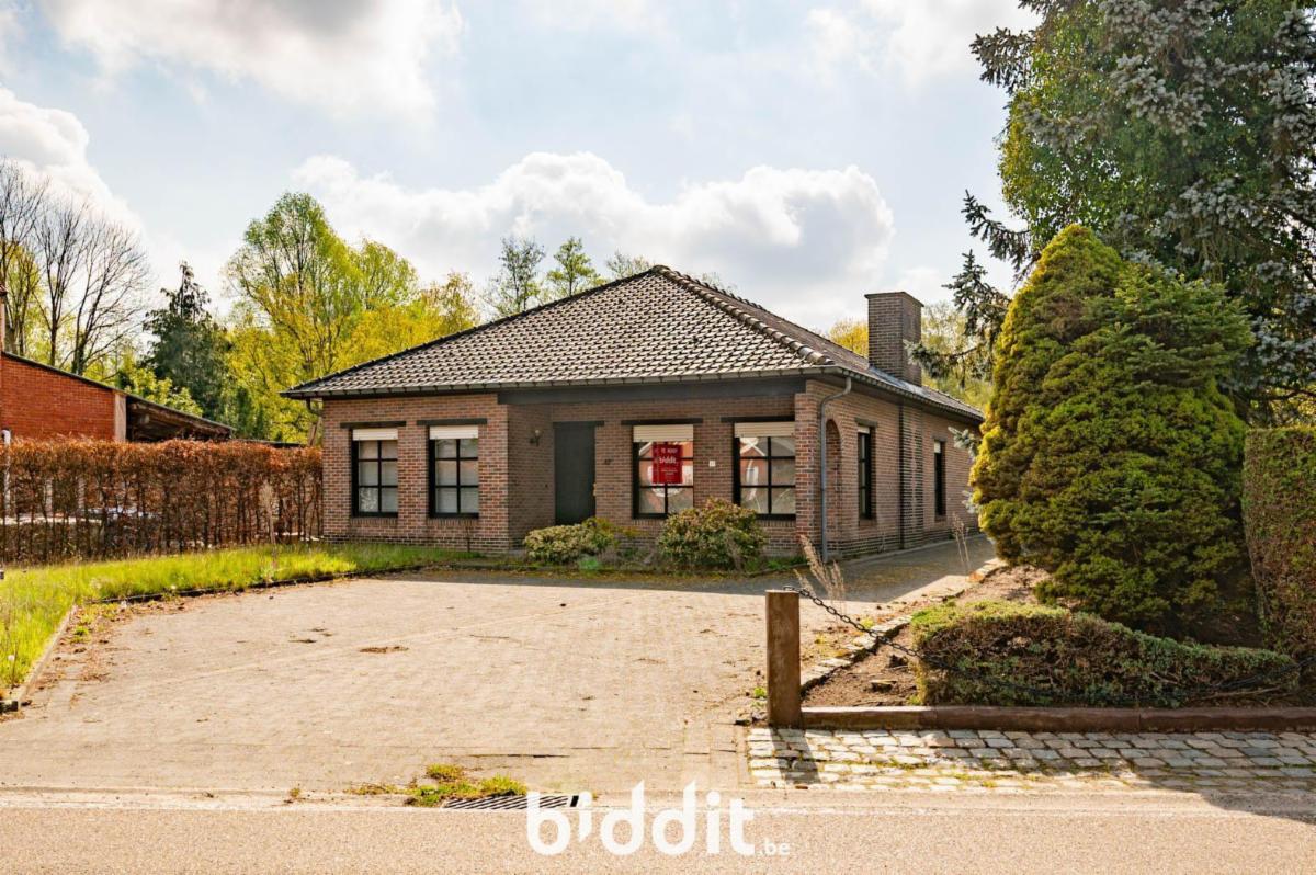 Presentatiebeeld van het pand n° 295413