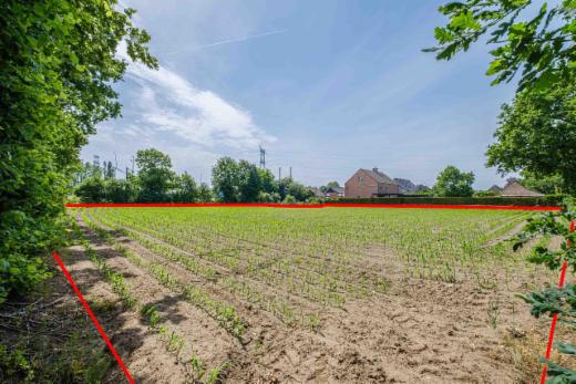 Derde alternatieve foto van het pand