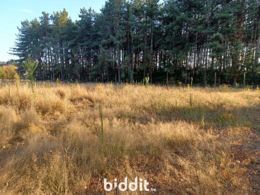 Eerste alternatieve foto van het pand