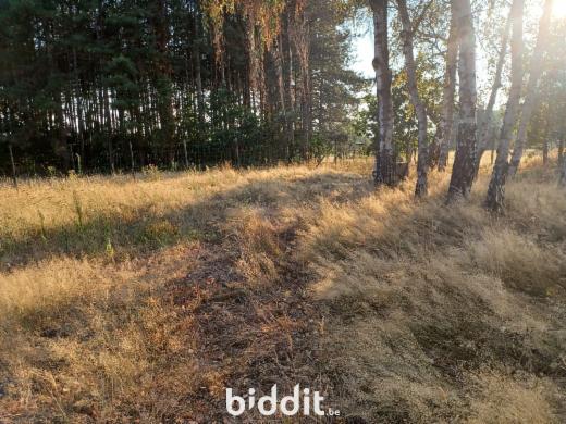 Tweede alternatieve foto van het pand