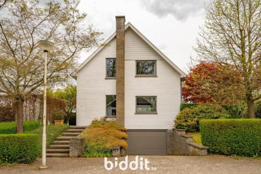 Presentatiebeeld van het pand n° 295265