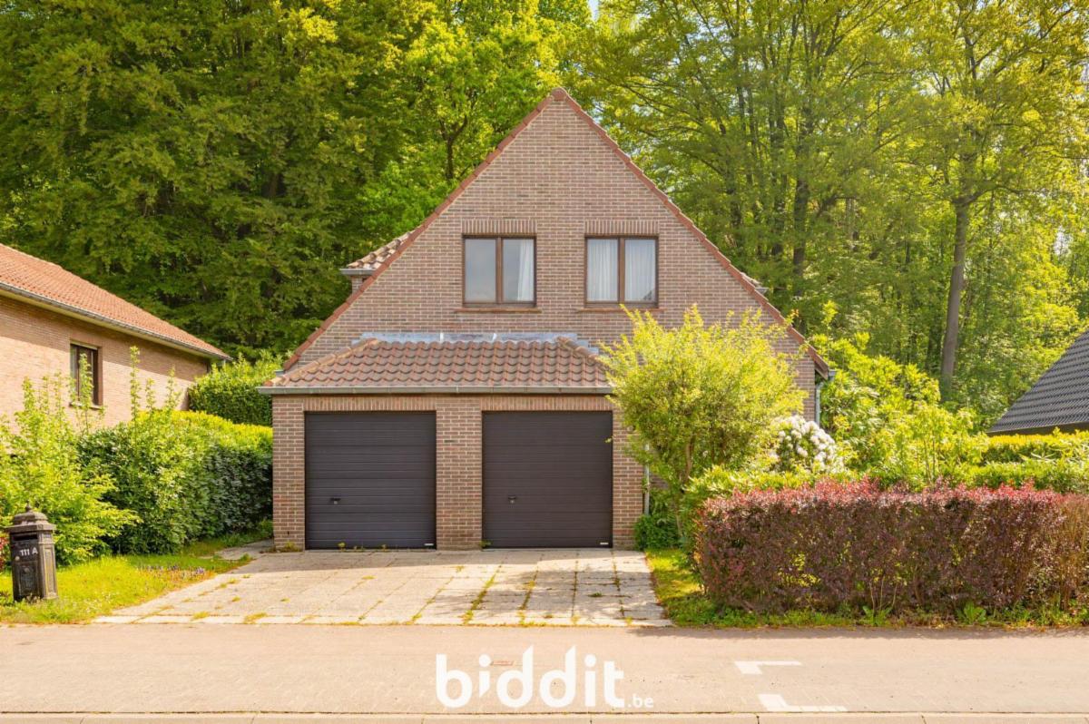 Presentatiebeeld van het pand n° 300109
